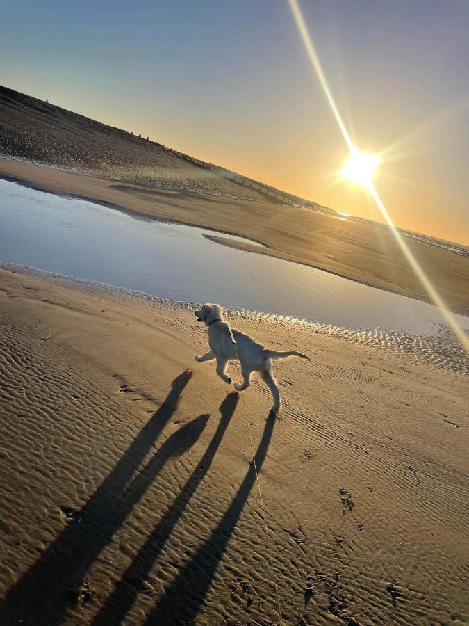 Pet Paradise Rye Εξωτερικό φωτογραφία